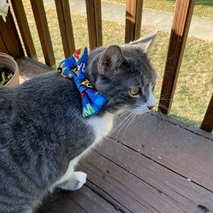 Dog/Cat Bow Super Hero Pattern Velcro
